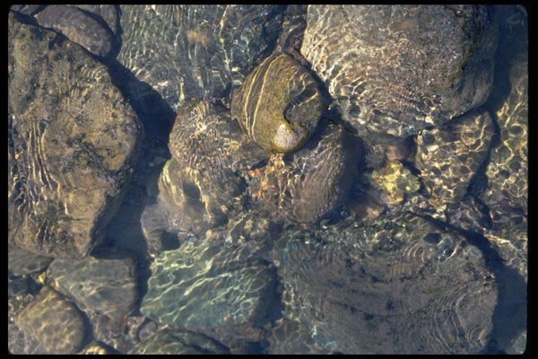 011030 Rocks Through Water A4 Photo Print