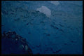 011034 Blue And White Glacial Ice A4 Photo Print