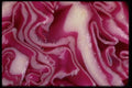011046 Detail Cut Purple Cabbage A4 Photo Print