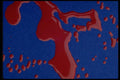 011050 Red Paint Puddles On Blue Background A4 Photo Print