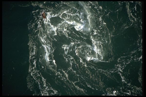 011052 Green Frothy Whirlpool A4 Photo Print