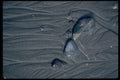011053 Water Patterns In Wet Sand A4 Photo Print