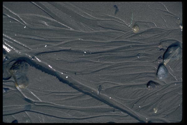 011055 Sand Impressions A4 Photo Print