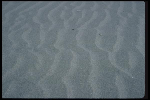 011057 Wavy Sand A4 Photo Print