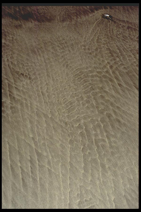 011064 Sand Patterns A4 Photo Print