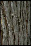 011068 Vertical Patterned Tree Bark A4 Photo Print