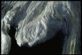 011073 Bleached Driftwood With Shadows A4 Photo Print