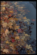 011083 Fallen Leaves On Water A4 Photo Print
