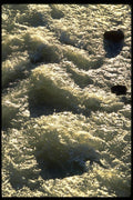 011093 Surf Waves A4 Photo Print