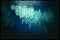 012023 Stalactites Below Surface A4 Photo Print