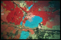012028 Red, Pink Coral A4 Photo Print