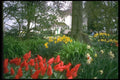 013093 Spring Garden With White House A4 Photo Print