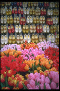 013096 Wooden Shoes Behind Tulips A4 Photo Print
