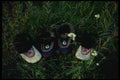 014023 Inuit Crafts A4 Photo Print