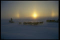 014043 Sundogs And Dogteams A4 Photo Print
