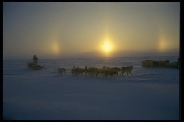 014043 Sundogs And Dogteams A4 Photo Print