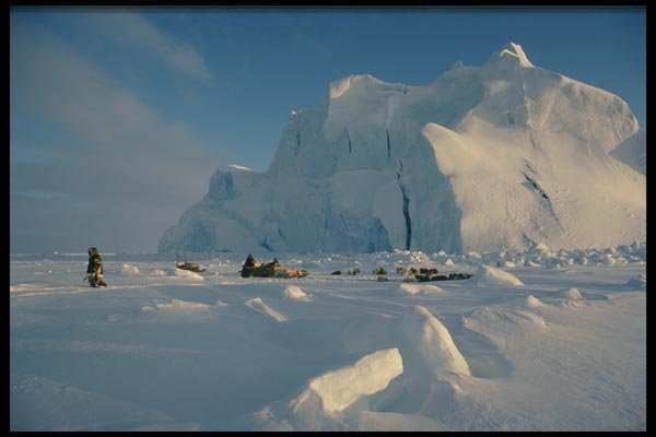 014055 Dogsledding In North West Passage A4 Photo Print
