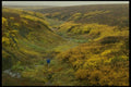 014068 Dempster Highway A4 Photo Print