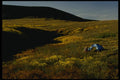 014075 Camped On Dempster Highway A4 Photo Print