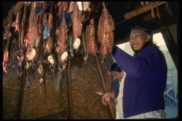 014080 Smoking Whitefish A4 Photo Print