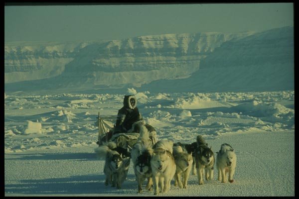 014081 Dogteam At Northwest Passage A4 Photo Print