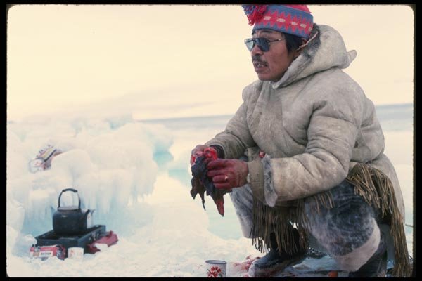 014090 Inuk Hunter Eating Fresh Seal A4 Photo Print