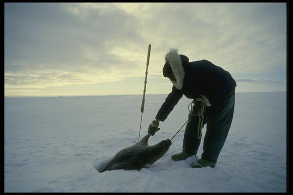 014096 Inuk Seal Hunter A4 Photo Print