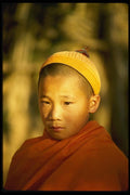 015000 Young Dai Buddhist Monk, Xishuang Banna A4 Photo Print