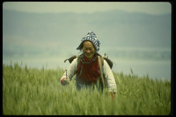 015014 Bai Women Spraying Crops, Dali, Yunnan A4 Photo Print