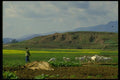 015037 Goat Herder Near The Stone Forest A4 Photo Print