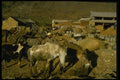 015040 Market Dali, Yunnan Province A4 Photo Print