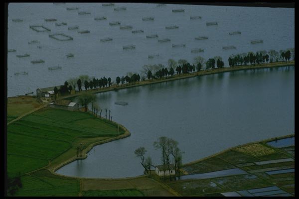 015041 Fishing Weirs, Kunming A4 Photo Print