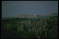 015046 Stone Forest Landscape, Yunnan Province A4 Photo Print