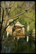 015086 Bird Cage In Park, Kunming, Yunnan A4 Photo Print