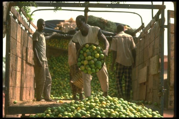 016002 Oranges At Market In Guetema, Mali A4 Photo Print
