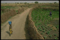 016007 Gardens In Kaarta, Sahel A4 Photo Print