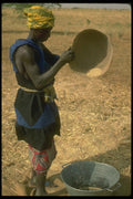 016010 Women Husking, Youri Village A4 Photo Print