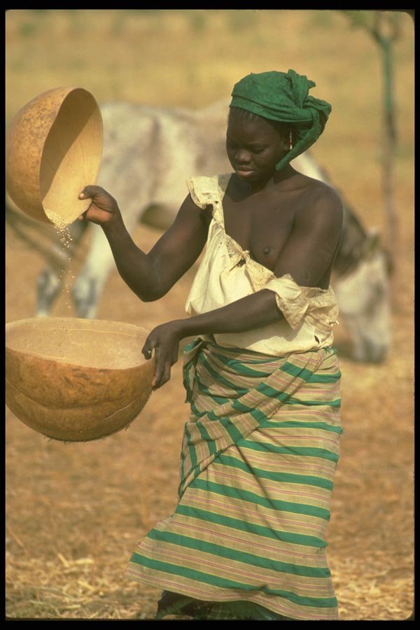 016011 Women Husking, Youri Village A4 Photo Print