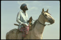 016021 Saracolle Horseman A4 Photo Print