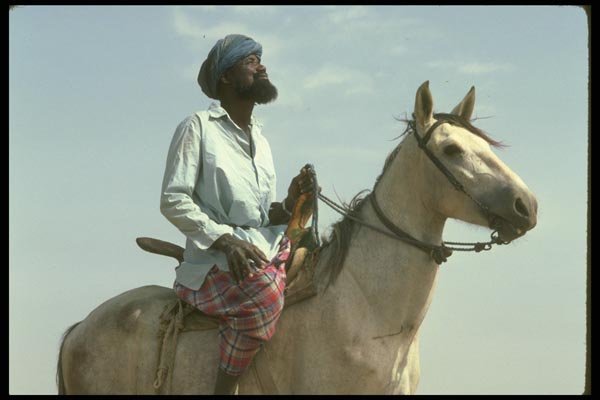 016021 Saracolle Horseman A4 Photo Print