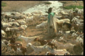 016037 Peuhl Shepherd With Goats A4 Photo Print