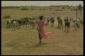 016050 Young Shepherd With Goats, Kaarta, Sahel A4 Photo Print