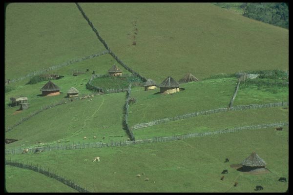 016088 Farm In Western Kenya A4 Photo Print