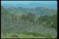 016089 Fence Line, Cherangani Hills, Western Kenya A4 Photo Print