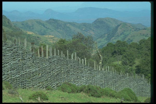 016089 Fence Line, Cherangani Hills, Western Kenya A4 Photo Print
