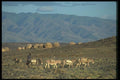 016091 Landscape Near Lake Turkana, Kenya A4 Photo Print