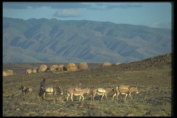016091 Landscape Near Lake Turkana, Kenya A4 Photo Print