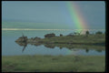 016093 Lake Boragoi, Rainbow, Kenya A4 Photo Print