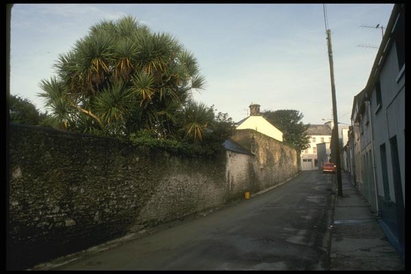 017003 Dingle A4 Photo Print