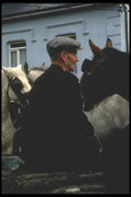 017008 Horse Trader, Dingle A4 Photo Print